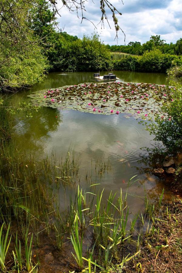 Les Gites De Juevince Issac Buitenkant foto